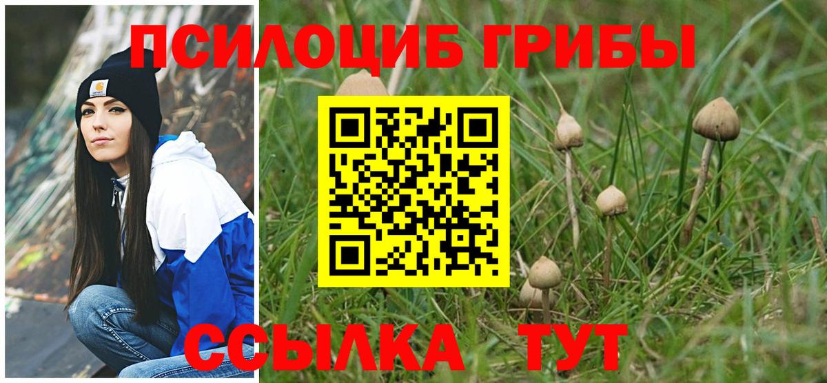 Междуреченск  Псилоцибиновые грибы прущие грибы  Вход с VPN  Галлюциногенные грибы Psilocybine cubensis 